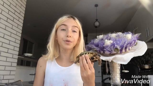 МОИ ДОМАШНИЕ ЖИВОТНЫЕ!!! Сухопутные черепахи! /Monica Paradise смотреть онлайн