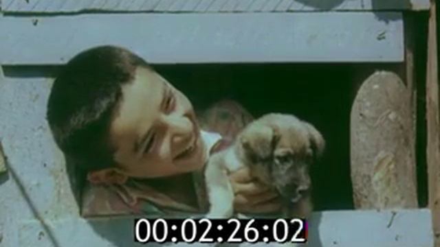 Ленкорань плодородная смотреть онлайн