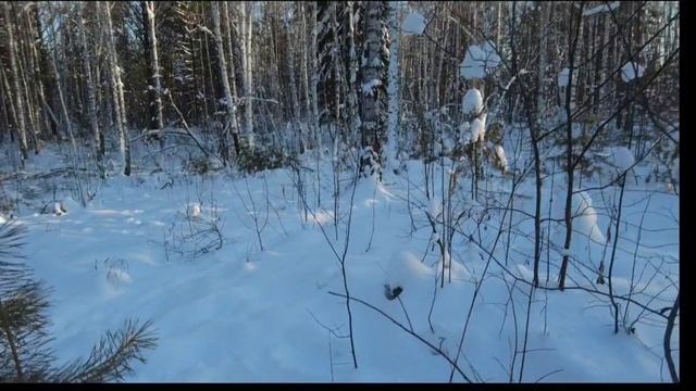 ОТШЕЛЬНИК ИНВАЛИД ЖИВЁТ В ТАЙГЕ
