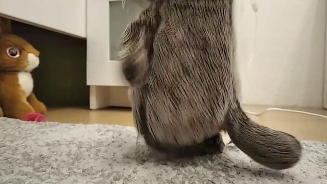 говорящие игрушки . Басик знакомит с хами смотреть онлайн