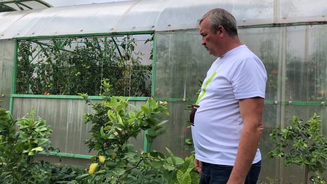 Домашний лимон, август 2019г смотреть онлайн