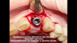 Портфолио работ профессора Мушеева И У