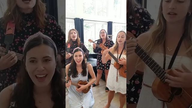 Les Chats Live on Flight Ukulele - Instagram Replay смотреть онлайн