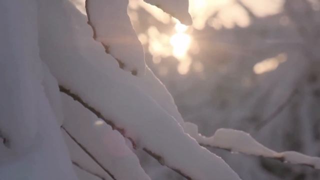 Зима что ль к нам на рандеву? смотреть онлайн