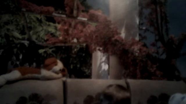 Брату 4 года смотреть онлайн