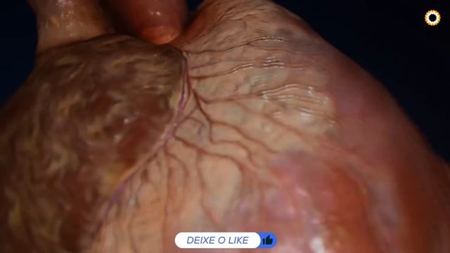 5 ervas que você não sabia que danificam seu fígado смотреть онлайн