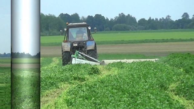 Трактор МТЗ 1221 с Samasz KDT 341 косит траву в СПК "Гигант" смотреть онлайн