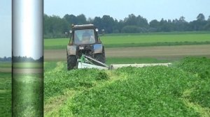 Трактор МТЗ 1221 с Samasz KDT 341 косит траву в СПК "Гигант"