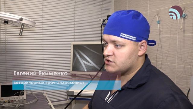 Здоровый питомец – счастливый хозяин смотреть онлайн