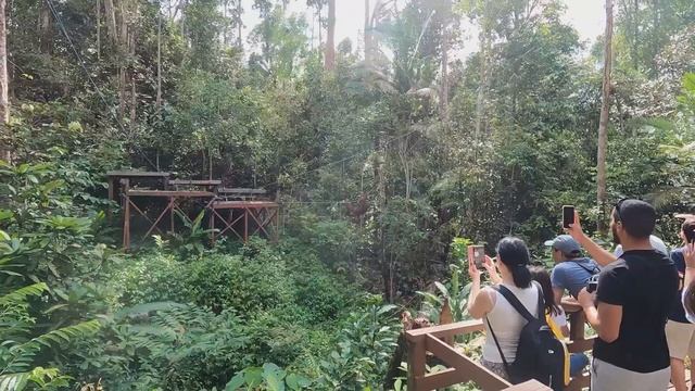 SARAWAK MALAYSIA VLOG | THINGS TO DO IN KUCHING SARAWAK. смотреть онлайн