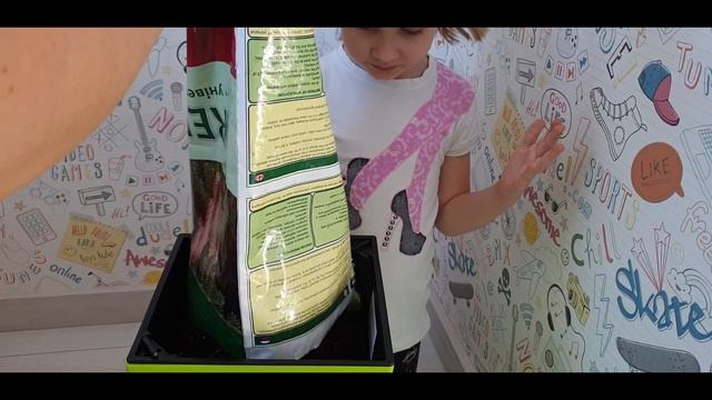 Пересаживаем финиковую пальму) У кого тоже растет такое дерево?) смотреть онлайн