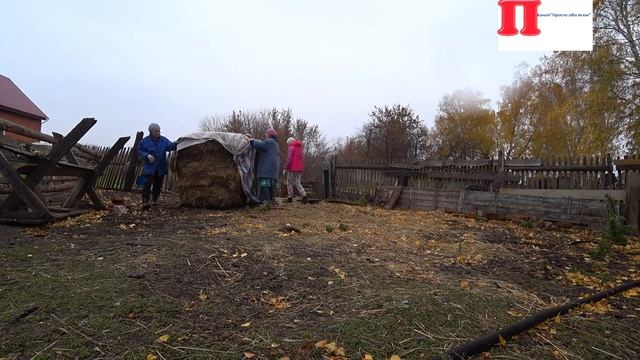Влог:Мучаемся переворачиваем сено/Поехала покупать фен. смотреть онлайн