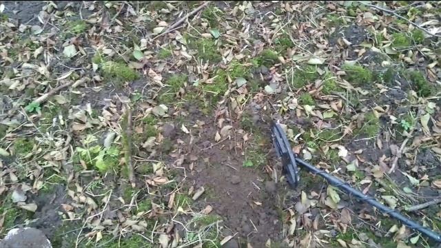 Garrett AT Pro. Обзор. Тест в работе!