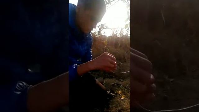 КАК ПОЙМАТЬ ФАЗАНА) // ЛОВЛЯ ФАЗАНА) смотреть онлайн