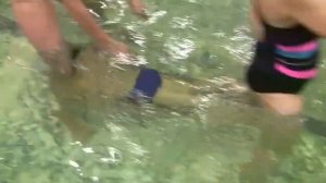 Семейные старты в детском саду (12/2017) - бассейн