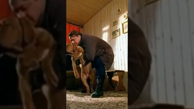 БРИГАДА БЕЛЫЙ СОБАКУ ПОКУПАЕТ смотреть онлайн