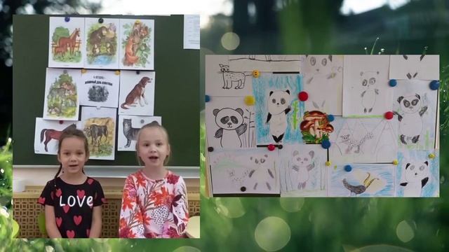 День защиты животных смотреть онлайн