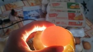 Проверка яиц овоскопом перед закладкой в инкубатор Несушка 36 яиц.