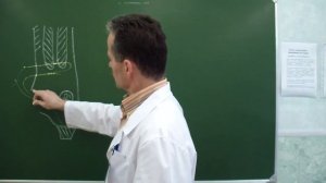 Пластика передней стенки пахового канала по Жирару-Спасокукоцкому со швом Кимборовского