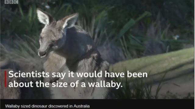 Wallaby sized dinosaur discovered in Australia смотреть онлайн