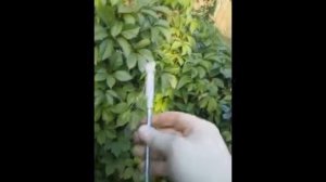 Замена ремня грм 8-ми клапанный 1.6  Калина