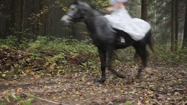 apocalyptica not strong enough смотреть онлайн