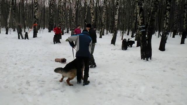 Перехват,сброс рукава,скрытая защита смотреть онлайн