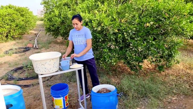 यूरिया और DAP से कई गुना ताकतवर खाद+हाईपावर | organic high power | humic acid fertilizer | NPK khad смотреть онлайн