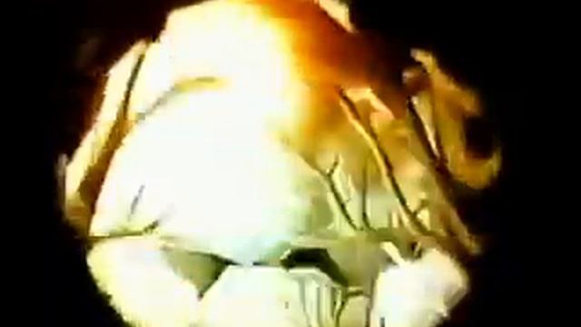 5.Красная река - жизни - научный институт. смотреть онлайн