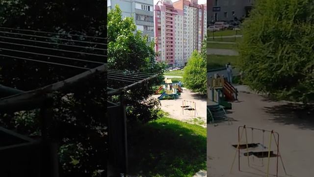 Брачное пение трясогузки на жёрдочке чужого балкона. 03.07.2021. смотреть онлайн