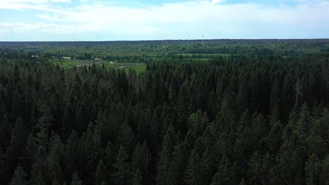 Обзор КП "Лесная Ривьера" на берегу озера Пионерское | Лето смотреть онлайн
