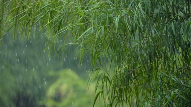 Звуки дождя, успокаивающая фортепианная музыка. Расслабляющая музыка. Часть 2.mp4 смотреть онлайн