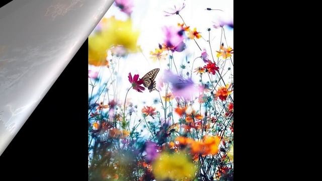 30 апреля первое Солнечное Затмение на оси Овен Весы по Джйотиш смотреть онлайн