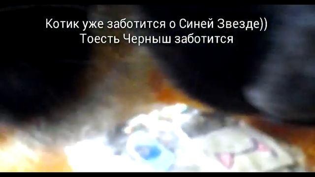 Поделка Синяя Звезда ( только голова её) +реакция моего кота на поделку. смотреть онлайн