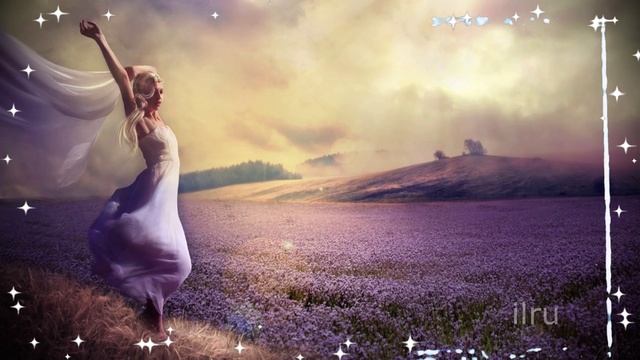 Самого Доброго Вечера! Добрый Вечер! смотреть онлайн