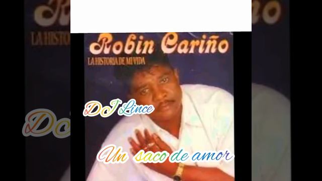 Robin cariño un saco de amor y tanque de cariño (vieja) смотреть онлайн