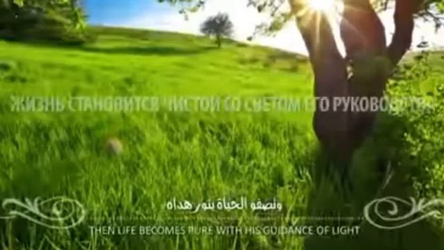 Muhammad Al-Muqit The Charm Of Existence. Nashid. Мухаммад аль-Мукит Прелесть Существования.Нашид.