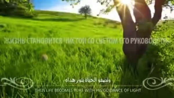 Muhammad al-Muqit The Charm of Existence. Nashid. Мухаммад аль-Мукит Прелесть Существования.Нашид.