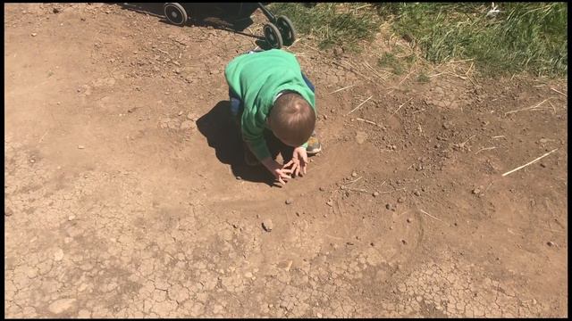 PORTLAND VLOG НЕРЕАЛЬНАЯ КРАСОТА ТИХОГО ОКЕАНА / СОБИРАЕМСЯ ДОМОЙ смотреть онлайн