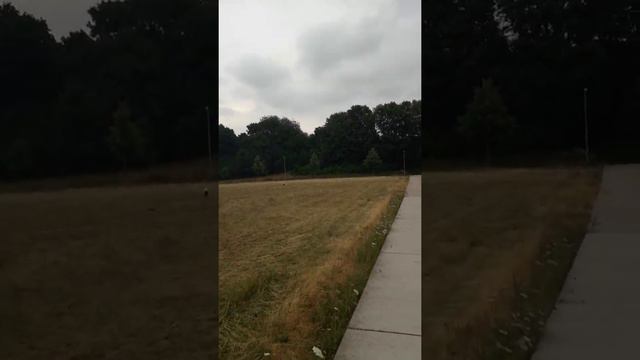 Бавария.Хорошо проснуться очень рано и отправиться на природу за вдохновением ... смотреть онлайн