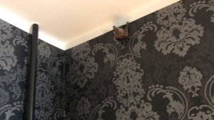 Нильский крылан. Первый полёт в комнате. Летучая собака летает