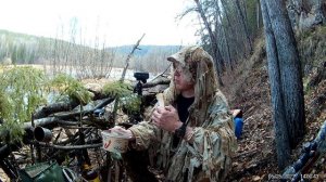 Охота на медведя на приваде 2021. Взял лохматого