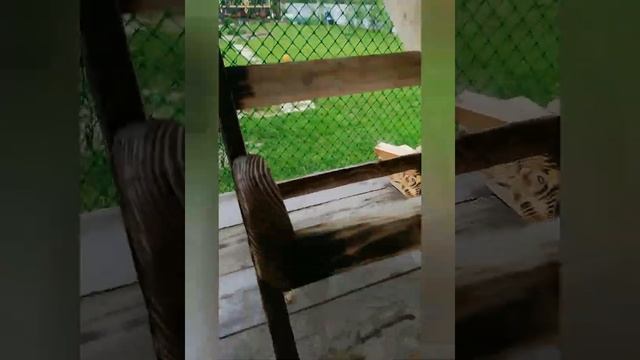 Делаем кресло из досок своими руками смотреть онлайн