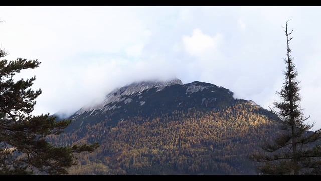 Родные традиции гусли смотреть онлайн