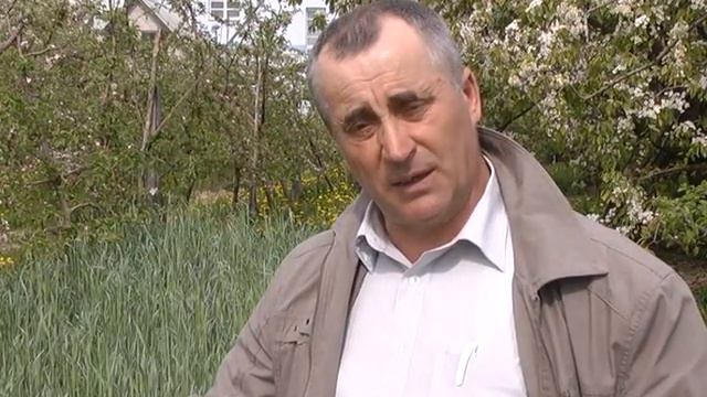 Рожь защищает сад