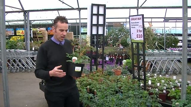 Looking Good at Highfield This Week - W/C 12th April 2013 смотреть онлайн