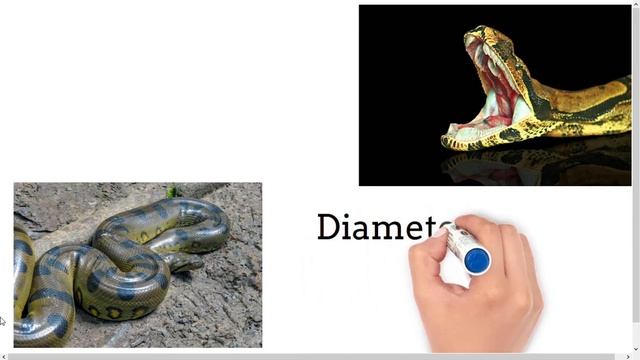 Anaconda VS Reticulated Python : Who would win? || World of Animals смотреть онлайн