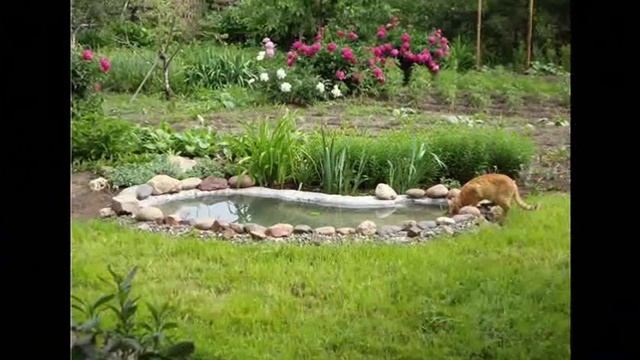 Пруд на даче - главное украшение смотреть онлайн