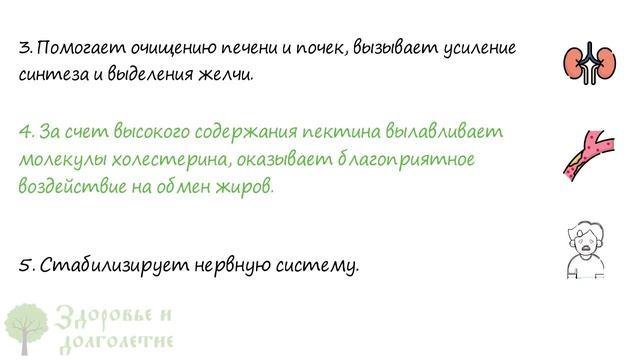 Засадил им всю дачу и вот почему! Зрение, суставы, сосуды и даже … смотреть онлайн