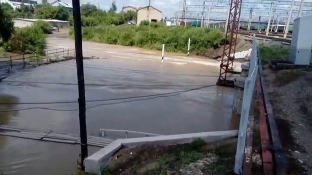 Сибирцево сегодня смотреть онлайн